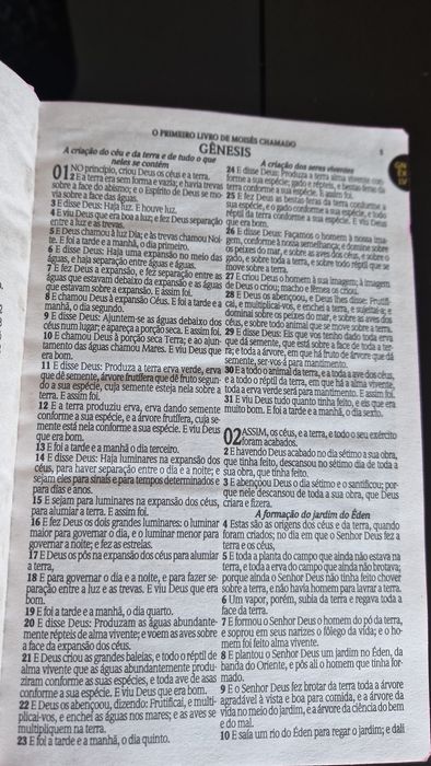 Bíblia Deus é Bom