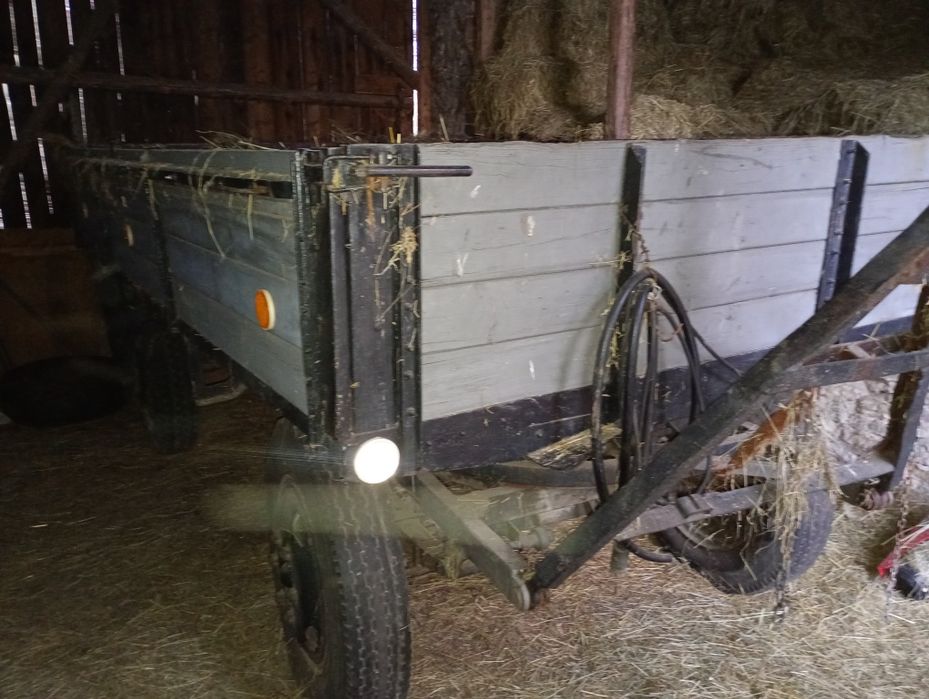 Siano sprzedaż ostatnie ilości kostek