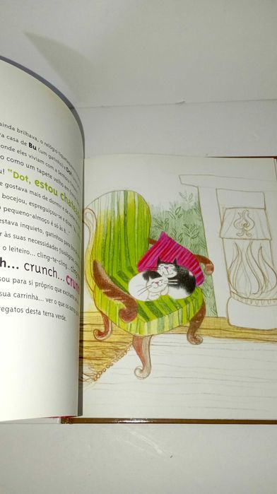 Gatos em Lissadell ou a pequena aventura de Dot & Bu