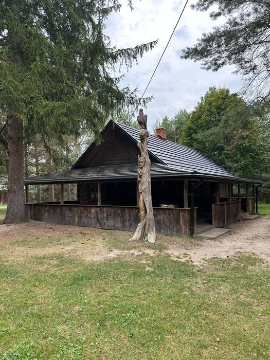 Domek w lesie,bania, jacuzzi noclegi lubelskie