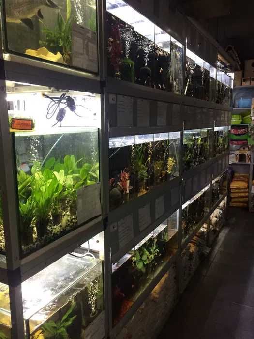 Terrarium 20x20x30 Tina Zoo Jasna