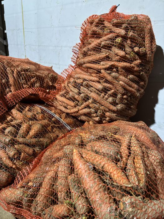 Marchew odpadowa (20kg)