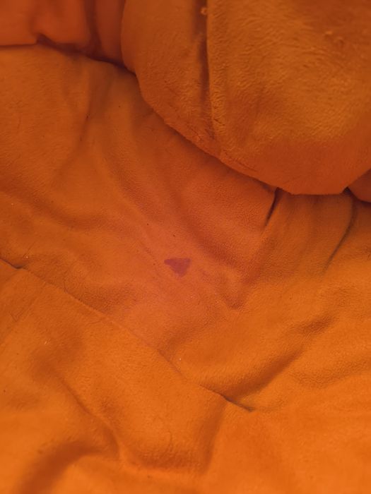 Cadeira de abrir laranja