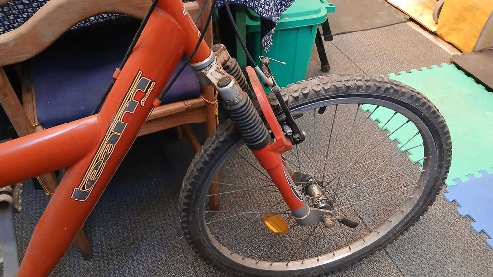 Bicicleta de montanha Team Adventure