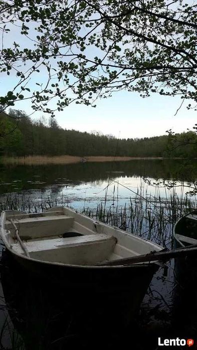 Leśniczówka z dala od hałasu