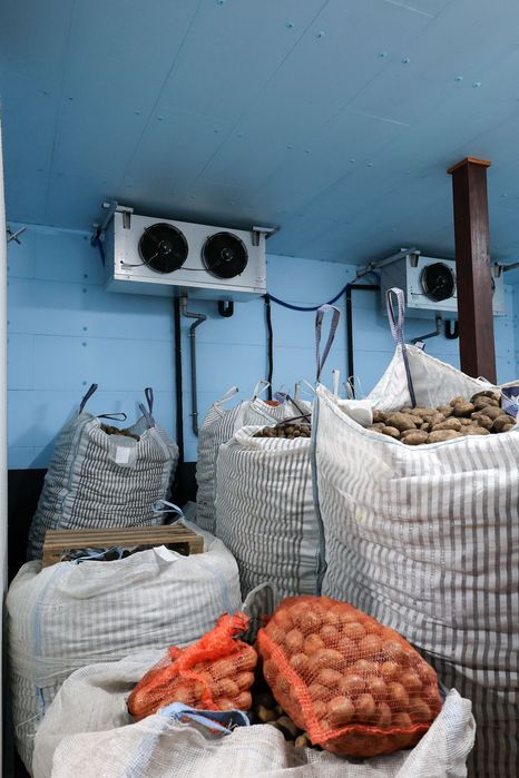 Płyty Dachowe Ścienne Izolacja Chłodni Przechowalni Styrodur XPS AGRO