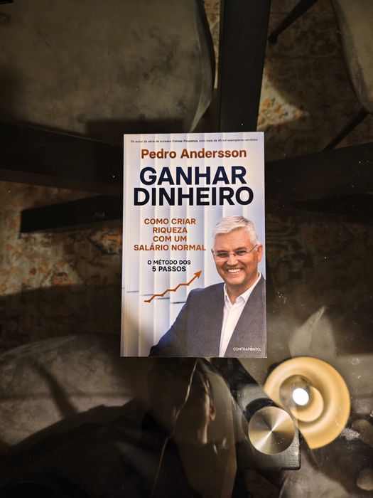 Ganhar dinheiro - Como criar riqueza com um salário normal - Pedro Andersson