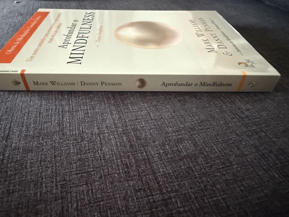 Livro “Aprofundar o Mindfulness”