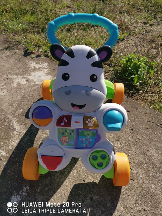 Pchacz zebra stan dobry