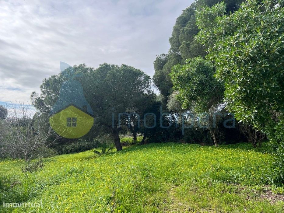 Lote Exclusivo Para Moradia De Sonho Com Piscina Na Quinta Dos Barr...