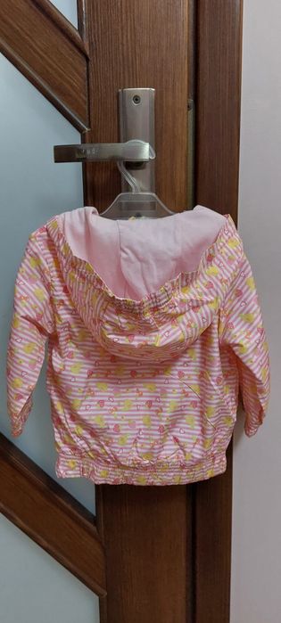 Kurteczka letnia 74