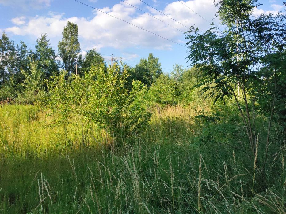 Продам 34-сот приватизованої землі Крошня