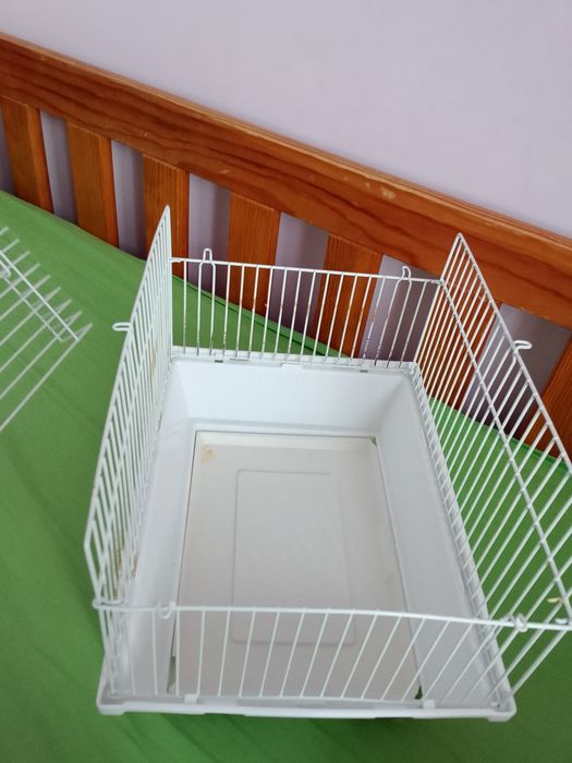 Transporter dla gryzoni