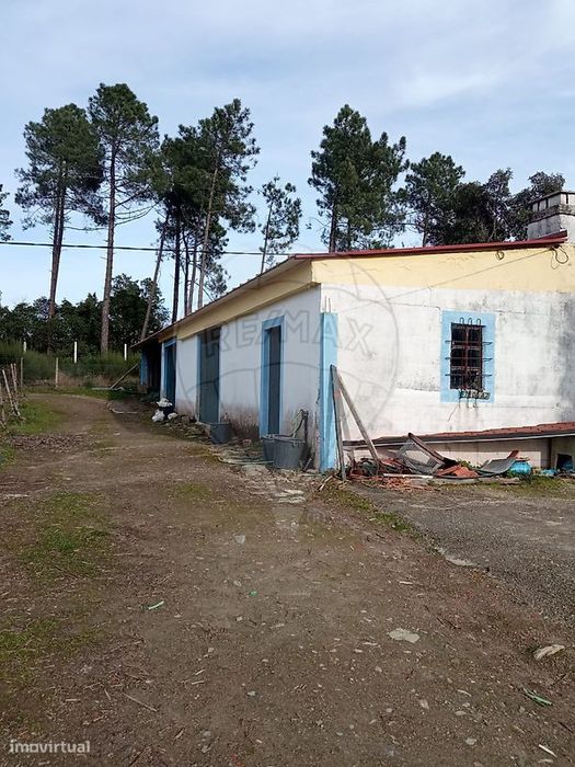 Terreno  para venda
