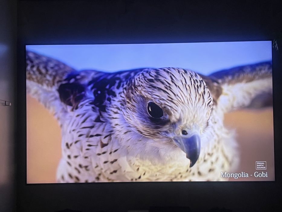 TV Samsung 75 4K UHD Smart Wrocław Wysoka