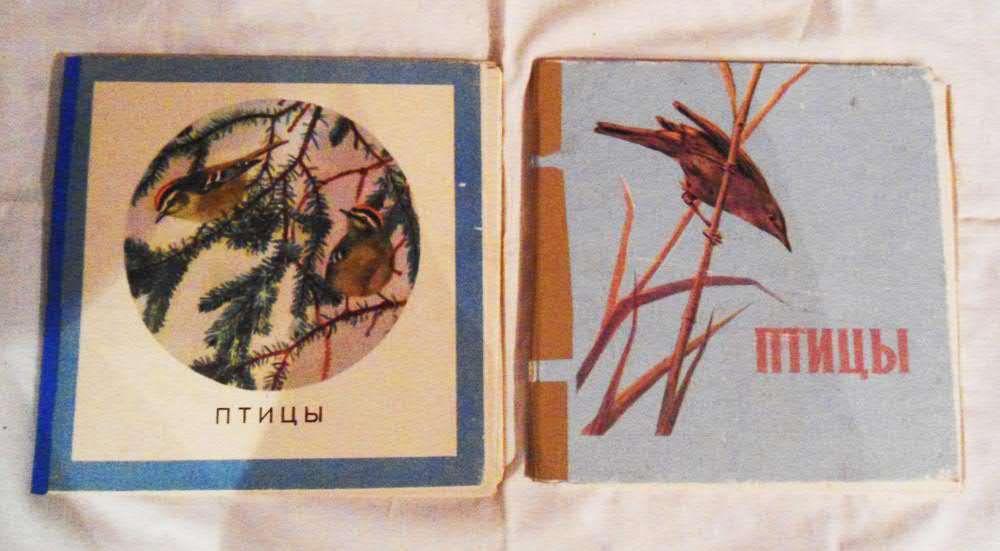Книжка-картинка-ширма, "гармошка", "Птицы", 2шт. СССР, 1972г.