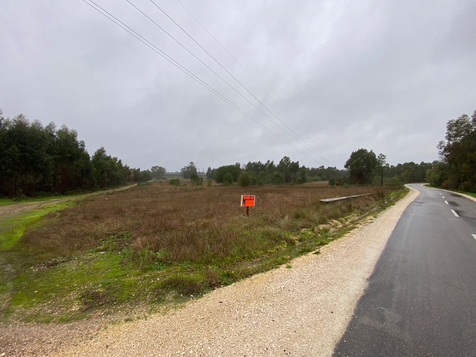 Terreno 19640m2 Marinhais (Salvaterra)