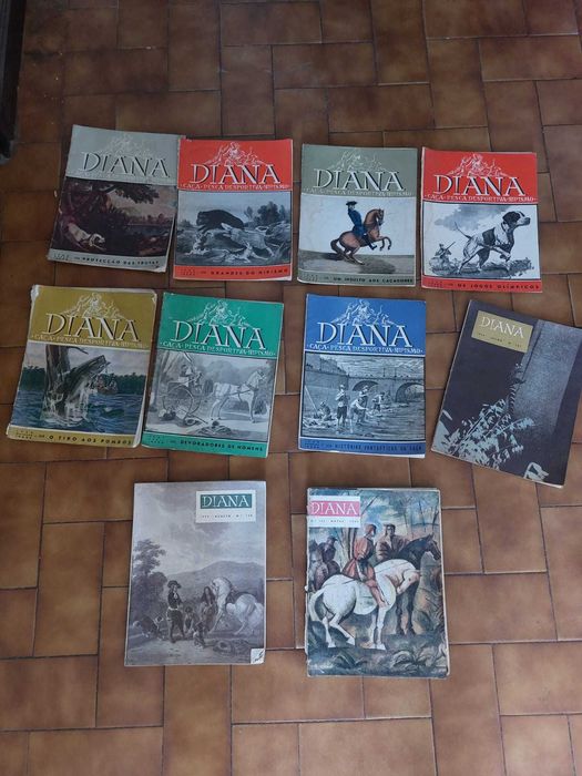 Diana-Caça, Pesca Desportiva, Hipismo