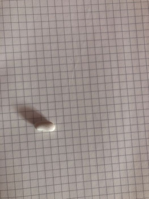 Насіння квасолі сорту «Іголомська»