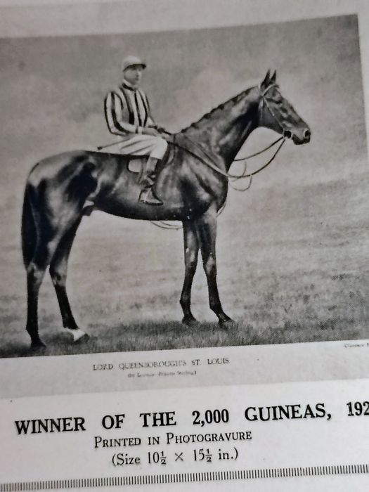 Cavalos Corrida - 30 Gravuras Lionel Edwards 1920