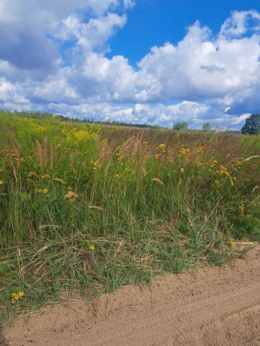 Działka 3700m2 z WZ na dom jednorodzinny i budynek gosp.