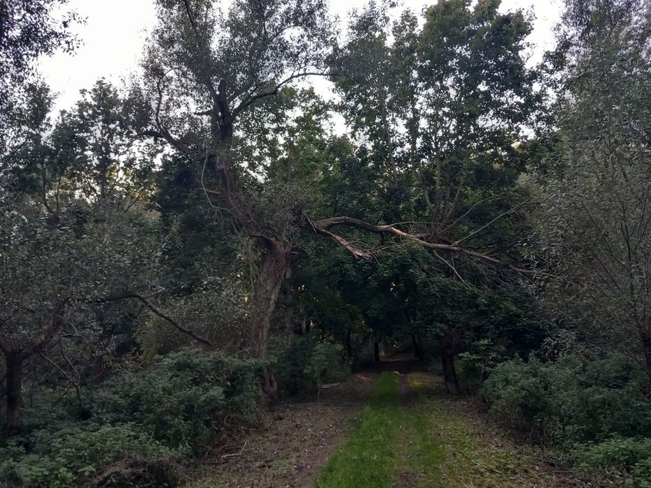 ziemia rolna w Gardei, 27 arów