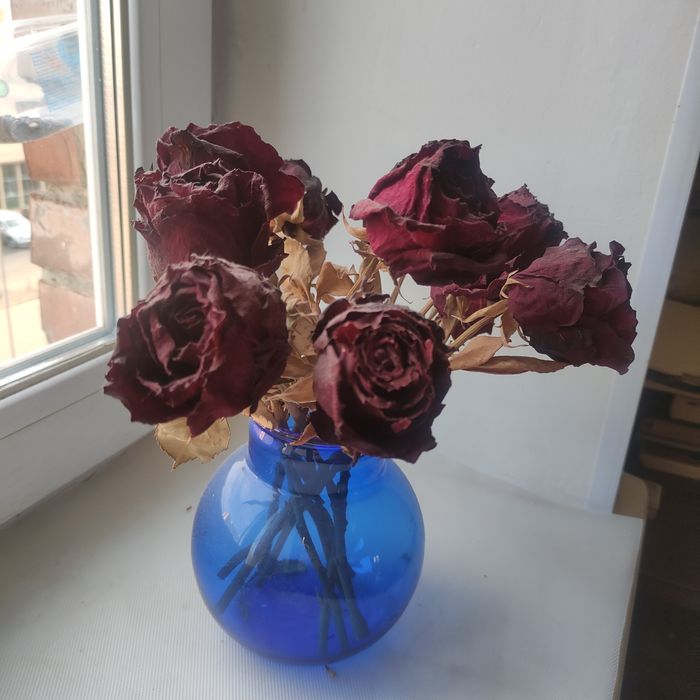 Сухі квіти, троянди