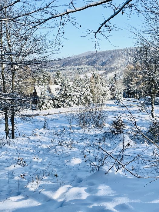 Jurta Całoroczna, BESKIDY, KOMINEK, noclegi w górach