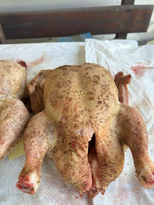Продам тушки бройлеров и гусей