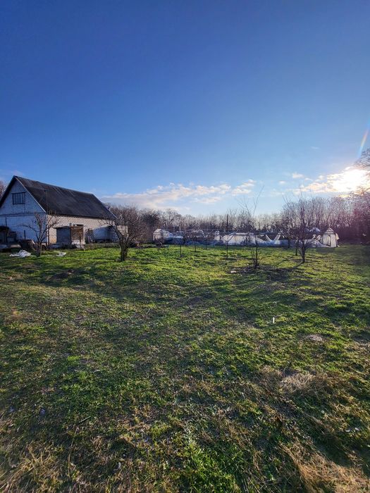 Продам дом с большим земельным участком. Y.A.