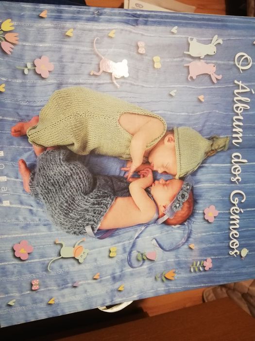Livro dos gémeos NOVO
