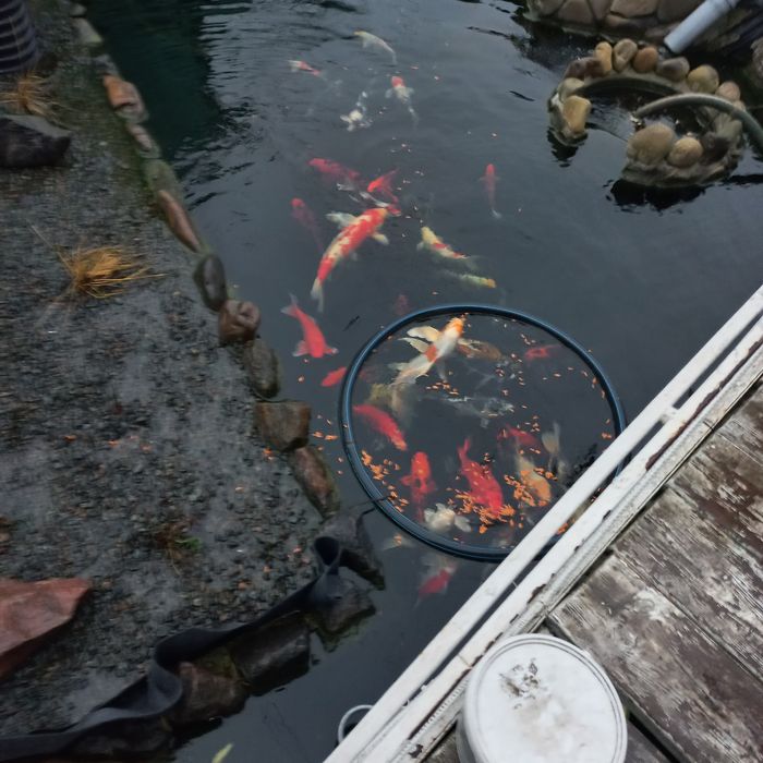 С.Александровка за Совиньоном.Дом красавец! 157м  3к.Все навороты!