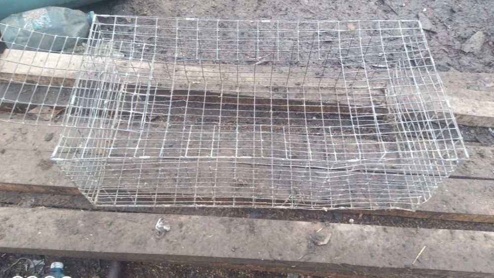 Клітки для птиці, кроликів