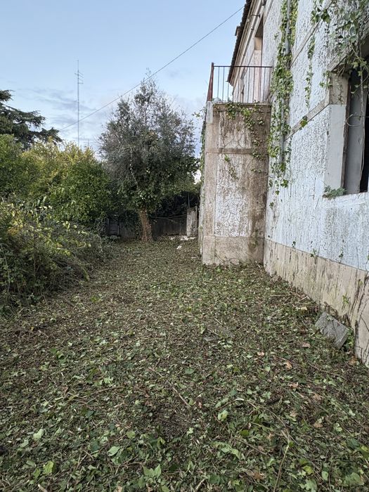 Limpeza / manutencões de terrenos