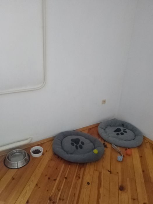 Частный дом. Передержка животных. Зооотель. Зоогостинница.