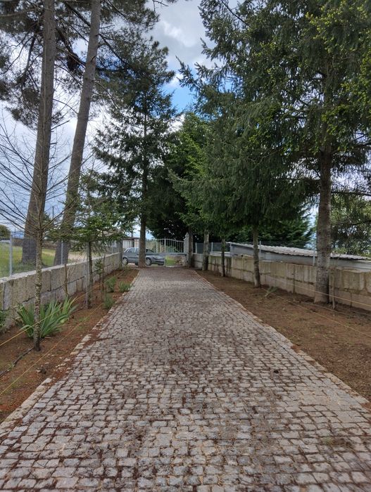 Quinta com duas casas em excelente localização em Trancoso