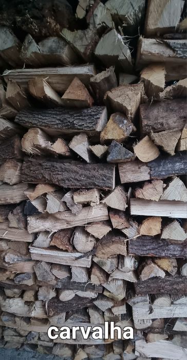 Vendo lenha seca