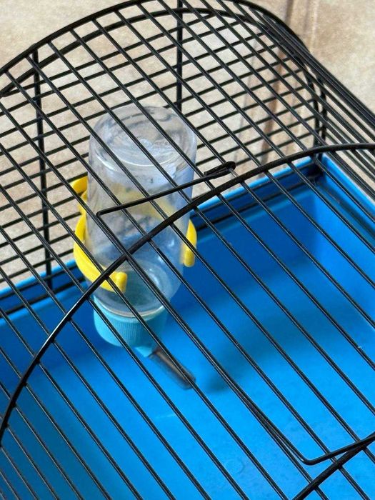 Клітка для гризунів + подарунок поїльниця та годівниця