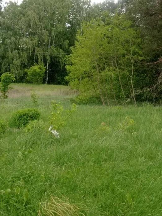 Продається земельна ділянка для будівництва з мальвничим виглядом на озеро і ліс село ГАВРОНЩИНА