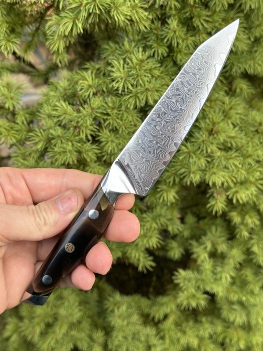 кухонний ніж, ніж для фруктів, поварской ніж, шеф ніж, дамаск, дамасск