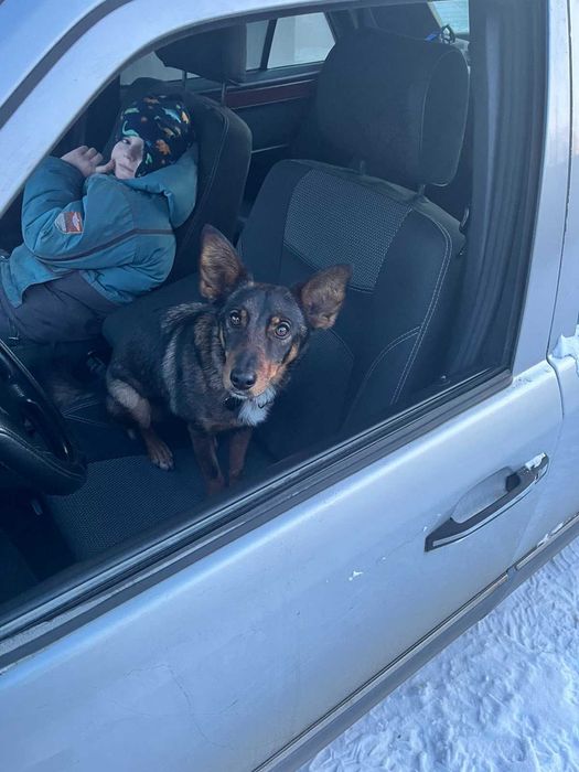 Mercedes-Benz E-Class 1994