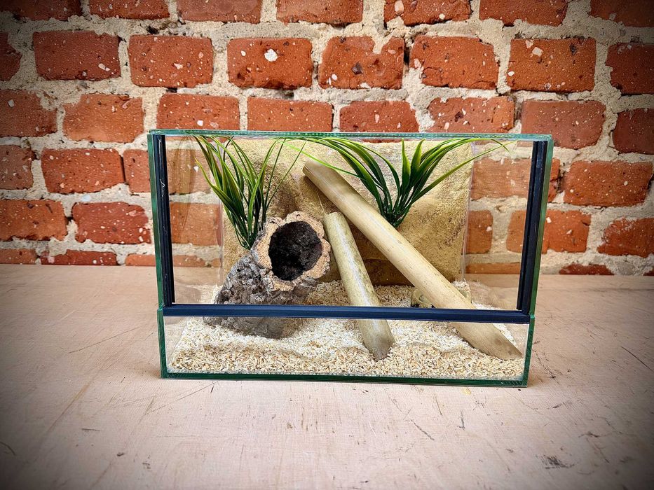 Terrarium szklane z pełnym wystrojem 30x20x20 cm. AlleTerra młode węże zbozowe