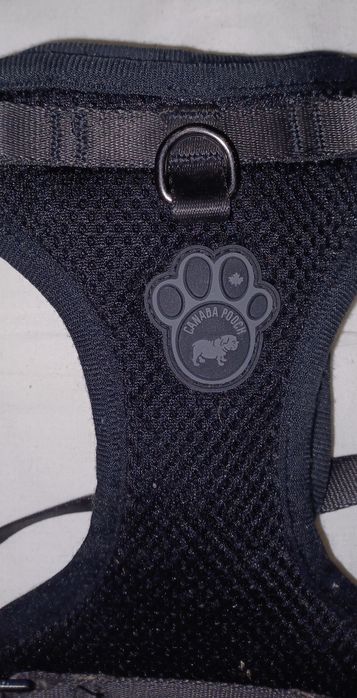 Шлейка на собачку