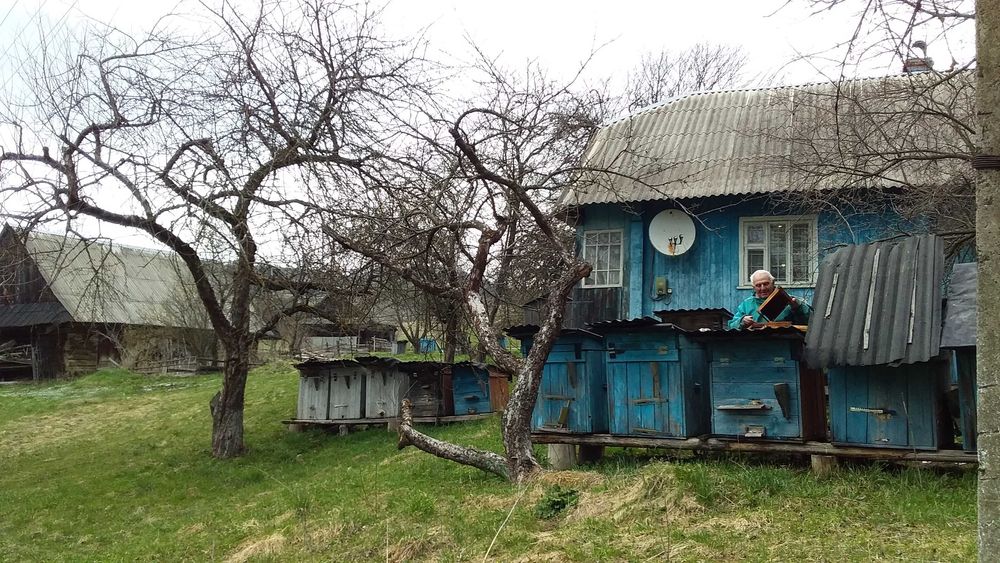 Мед карпатський.