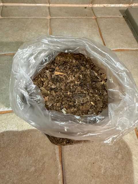 Sprzedam Propolis z własnej pasieki