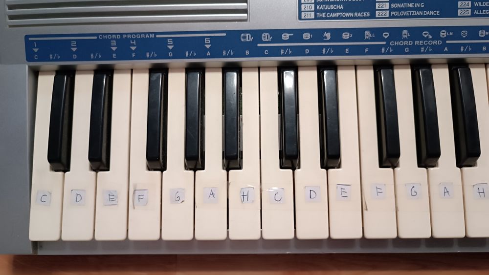 Keyboard BONTEMPI PM695