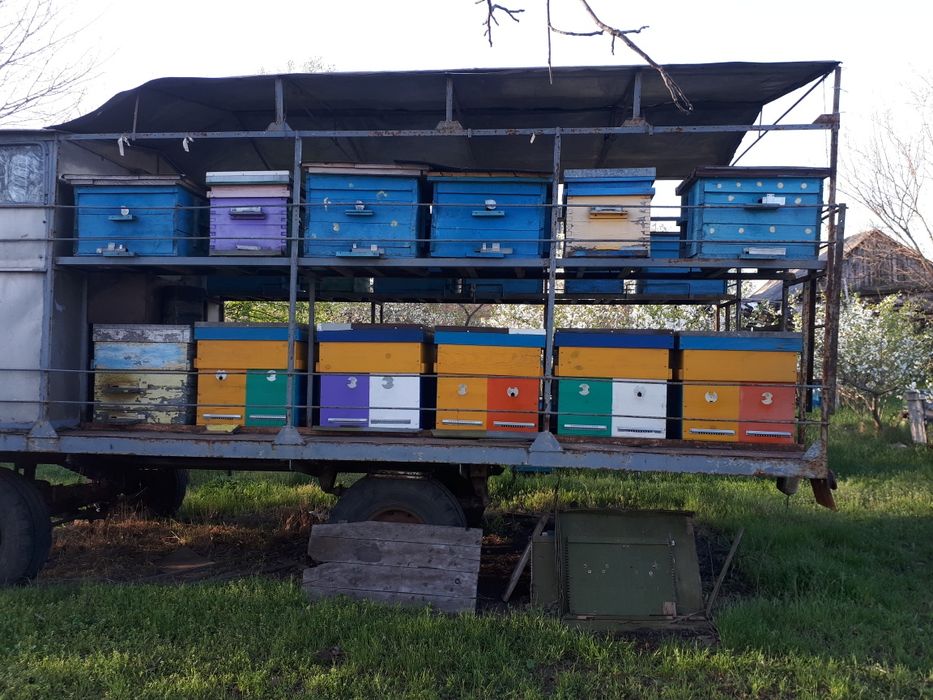 Павильен для пчел