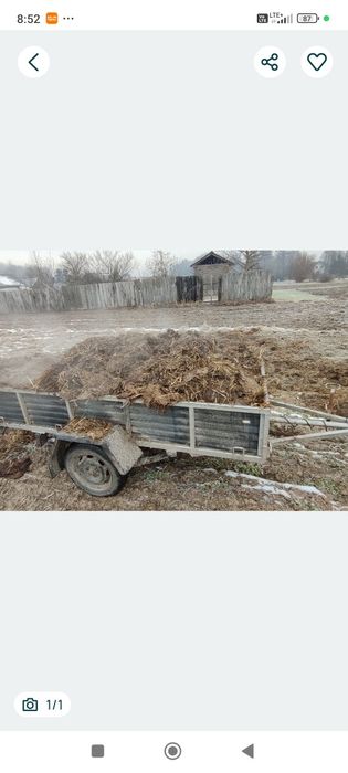 Sprzedam Obornik koński