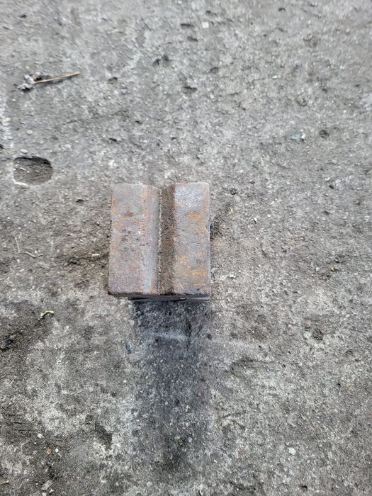 Prościarka kowalska