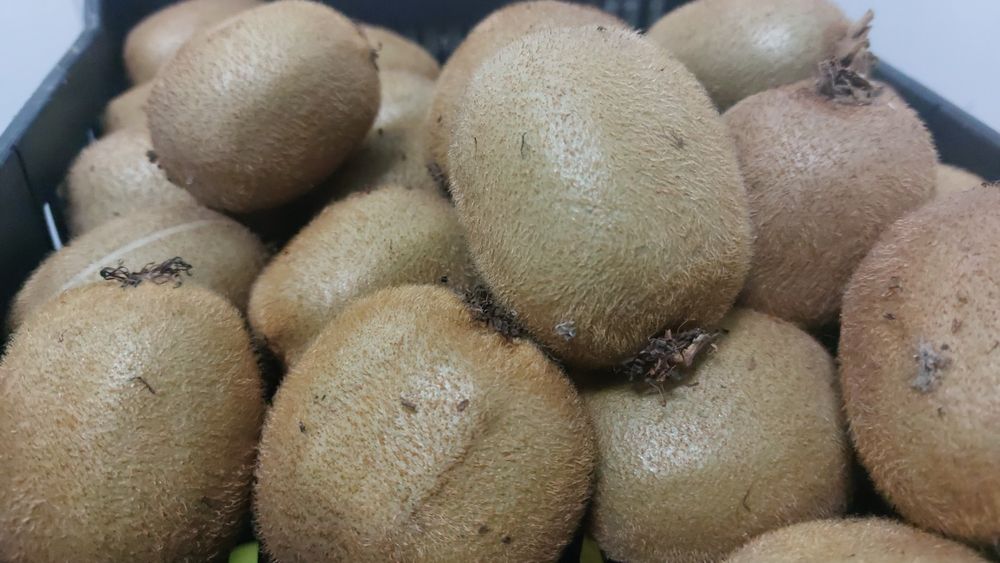 Kiwis biologicos